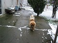 20110101_Div 067